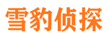 桃源寻人公司